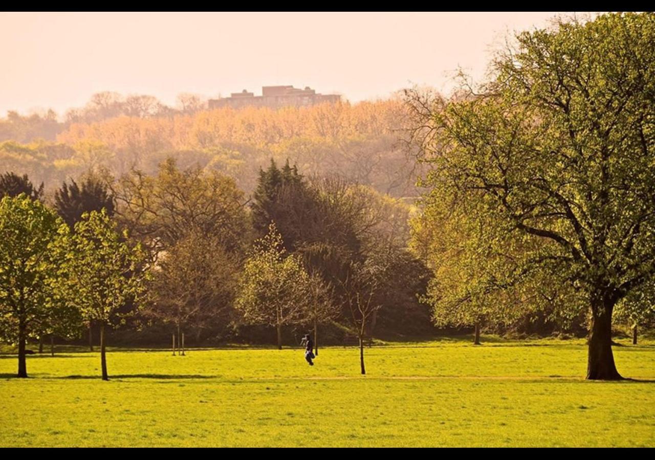 The Nest Of Forest Hill Londres Exterior foto